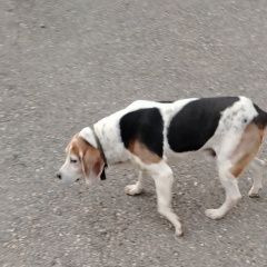 ����: ������� ������  �������� ������ ���������� � �. ����������