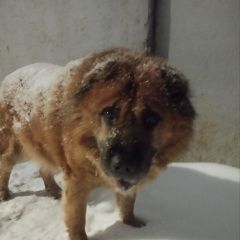 ����: ������� ������  �������� ������ ������-��-���� � �. ������-��-����