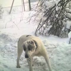 ����: ������� ������ ��������������� ������� ������� ������� ������ ������ ������ � �. ������