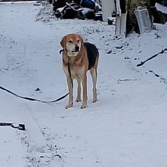 ����: ������� ������ ������ ������������� ������� ������ ������� � �. ������������