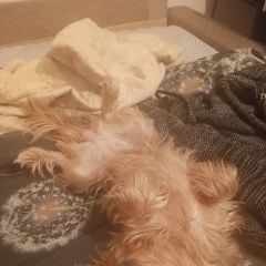 ����: ������� ������  �������� ������ 8 ������� 2025 ���� ���� �������...� � �. ����