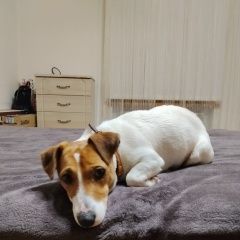 ����: ������� ������ ���� ������ ������ �������� ������ ���� ������ ������� ���������� � �. ���������