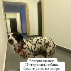 ����: ������� ������  �������� ������ ������������ (�������� ���.)� � �. ������������ (�������� ���.)