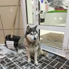 ����: ������� ������  �������� ������ ��� ������ � �. ������