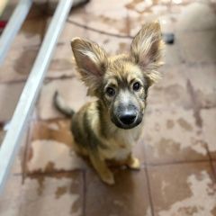 ����: ������� ������  ���������� ������� ������ ������ ����� � �. ���������