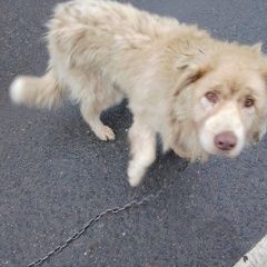 ����: ������� ������  ������������ ������� ������ ������ ������ � ���� � �. �����������