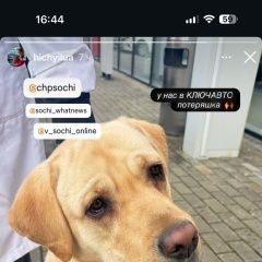 ����: ������� ������ �������� �������� �������� ������ ������ ���� � �. ����