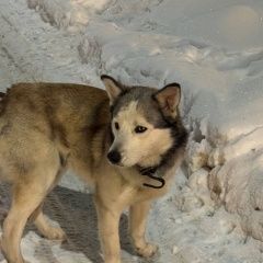 ����: ������� ������ �������-��������� ����� �������� ������ ������ ����� ���������� � �. ����������