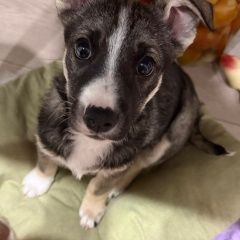 ����: ������� ������  �������� ������ ������ ����� ������ � �. ������