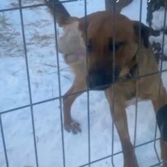 ����: ������� ������  �������� ������ ������ ������ ����� ��� ������ � �. ������