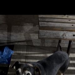 ����: ������� ������  ����� ������� ������ ������ ������...� � �. ����