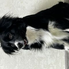 ����: ������� ������  ���������� ������� ������ ������ ��� � ������ ��...� � �. ���������