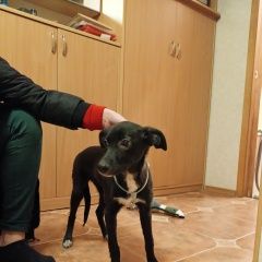 ����: ������� ������  ������� ������� ������ ����� � �. ������