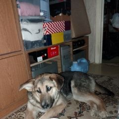 ����: ������� ������  �������� ������ ��������� � �. ���������