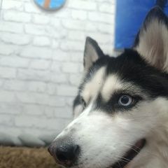 ����: ������� ������ ������������ �������� ������� ������ ����� � �. �������