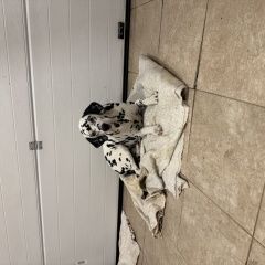 ����: ������� ������ �������� �������� ������ ������ ����� ������� � �. ����� ������