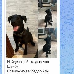 ����: ������� ������ �������� �������� �������� ������ �������� ����������, ���� ������...� � �. �������