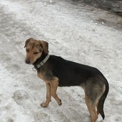 ����: ������� ������  ���������� ������� ������ � �. ���������