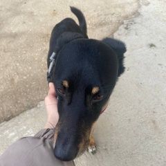 ����: ������� ������  �������� ������ ������ ������ � �. ������