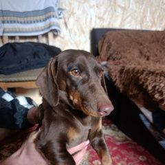 ����: ������� ������ ����� �������� ������ ���������� � �. ����������