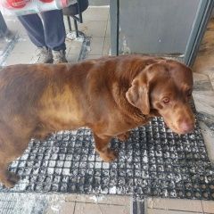 ����: ������� ������ �������� �������� �������� ������ ������� ������ � �. ������