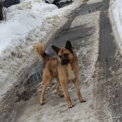 ����: ������� ������  �������� ������ ������ ������ � ���� ����������� � �. �����������