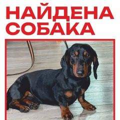 ����: ������� ������ ����� �������� ������� ������ ������ ����� ������� � �. �������