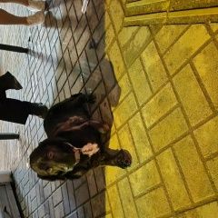 ����: ������� ������  ���������� ������� ������ � �. ���������