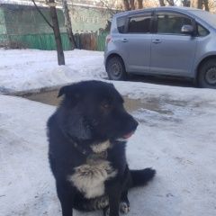 ����: ������� ������  �������� ������ ������������ � �. ������������