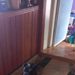 ����: ������� ������ ���-��������� �������� ������ ������ ����� � �. �����