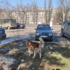 ����: ������� ������  �������� ������ ������ ���������� �����...� � �. ������ (���)