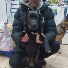 ����: ������� ������ �������� �������� �������� ������ ������� ��������� 6 �������...� � �. ���������