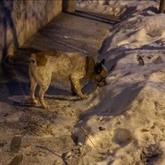 ����: ������� ������  �������� ������ ������ ���������� � �. ����������