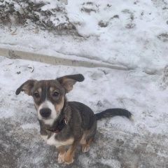 ����: ������� ������  �������� ������ ���������� � �. ����������