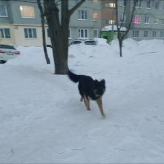 ����: ������� ������ �������� ������� �������� ������ ������ ������� ����� � �. �����