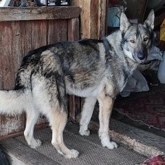 ����: ������� ������  �������� ������ ������ ������ �� ����, ����� ��...� � �. ������ �������