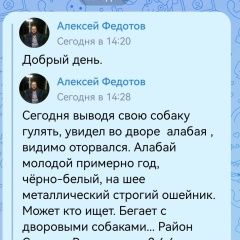 ����: ������� ������  �������� ������ ������ ������. �������� ���� ���...� � �. ������