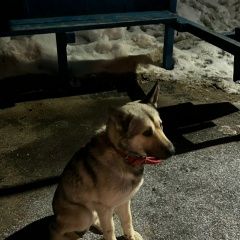 ����: ������� ������  ������ ������� ������ � ����� ������� ��������� � �. �����