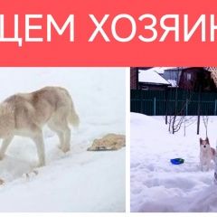 ����: ������� ������ ��������� ����� �������� ������ ����� ������ � �. ������