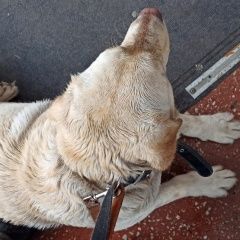 ����: ������� ������ �������� �������� �������� ������ ������ 3-4 ���� �����-������� � �. �����-�������