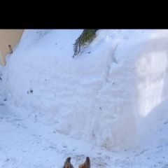 ����: ������� ������  ������� ������� ������ � 2 ������ � �. ������