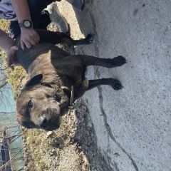 ����: None  ��������� ����� ���� ������ ����� ������ � �. ������