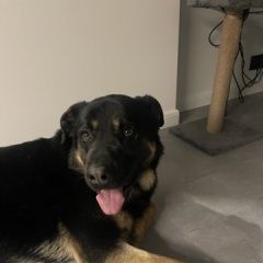 ����: ������� ������  ������� ������� ������ ������ ���� ������ ������...� � �. ������