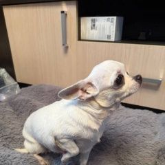 ����: ������� ������ �������� ����� ������� ������ �������� ������� � �. ����