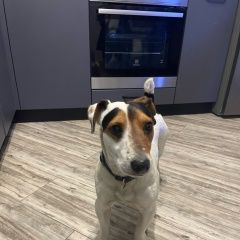 ����: ������� ������ ���� ������ ������ �������� ������ ������ ������� � �. �������