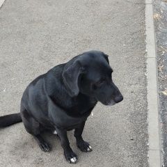 ����: ������� ������ �������� �������� ����������� ������� ������ ������ ������ ������� � �. ����������