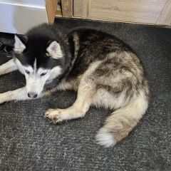 ����: ������� ������ ��������� ����� ��������� ������� ������ ������ �����, ������....� � �. ��������