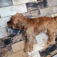 ����: ������� ������ ���������� �����-�������� �������� ������� ������ ������� � �. �������