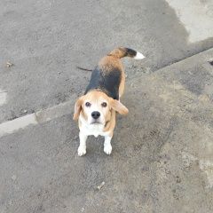 ����: ������� ������ ����� �������� ������ ����� ��� �������� �������� � �. ��������