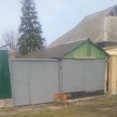 ����: None  ��������� ����� 22 �����, 17:00 ������ (���)� � �. ������ (���)